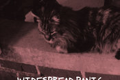 Porch Songs: Pittsburgh 1995 wsp950411_800.jpg